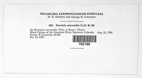 Image Associated With the Occurence